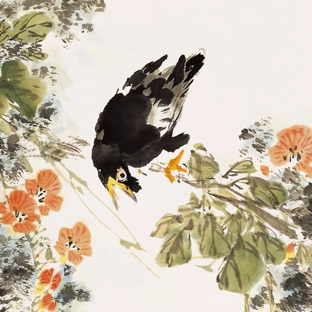 100幅禽鳥百圖，國畫鳥類美醉了！