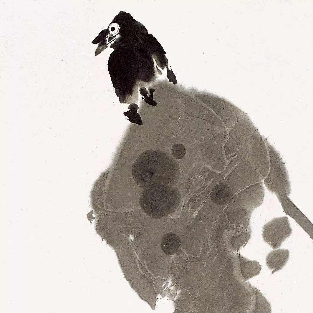 100幅禽鳥百圖，國畫鳥類美醉了！