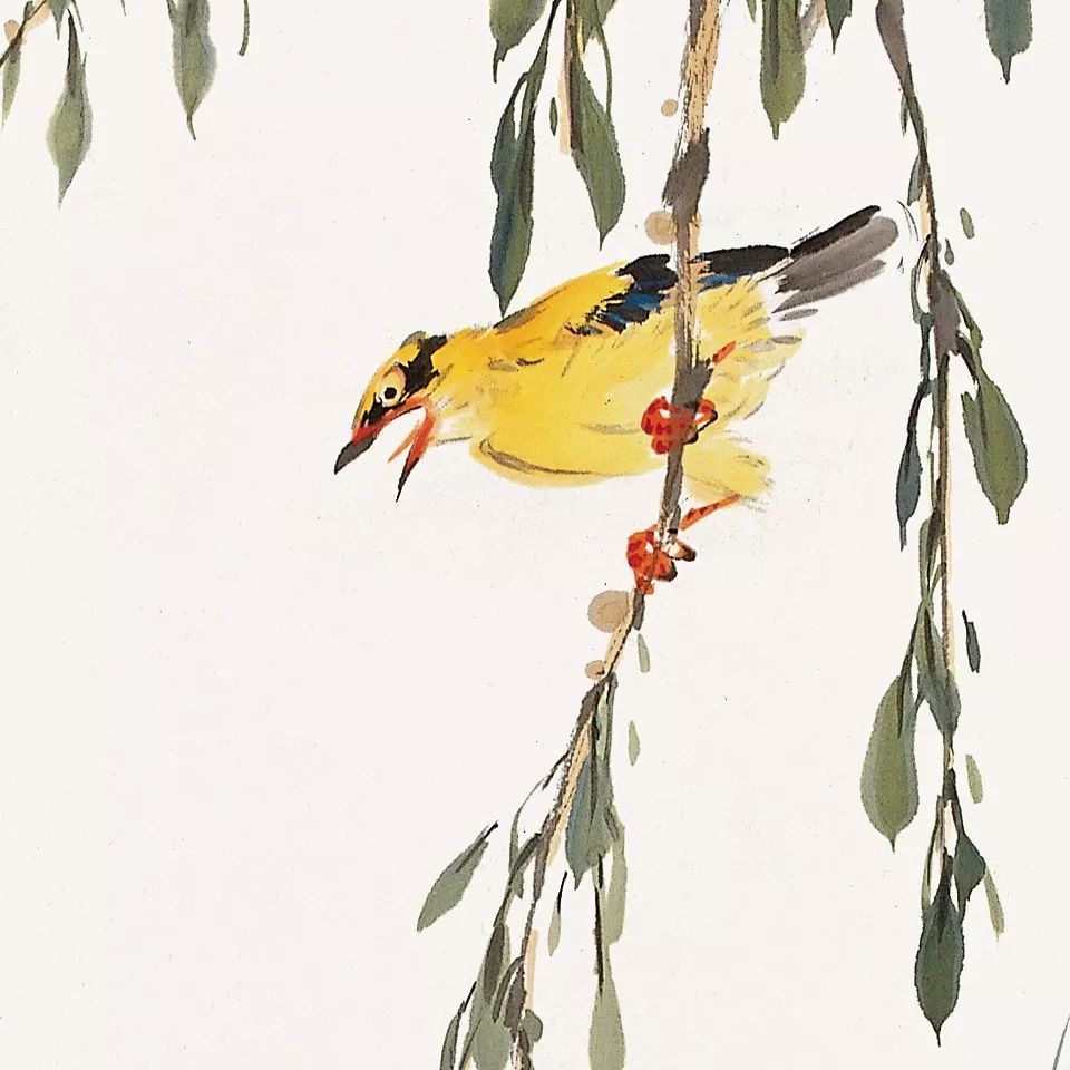 100幅禽鳥(niǎo)百圖，國(guó)畫(huà)鳥(niǎo)類(lèi)美醉了！
