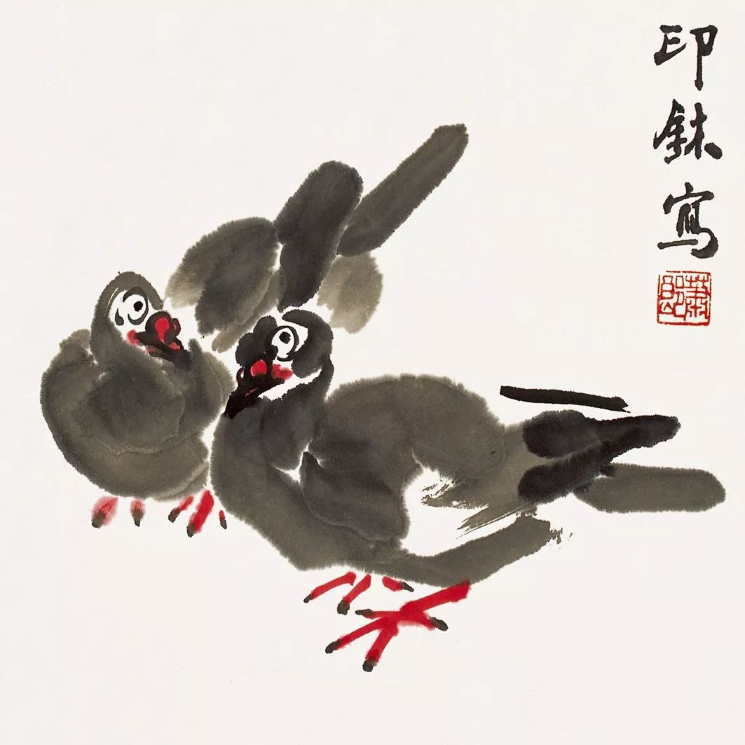 100幅禽鳥(niǎo)百圖，國(guó)畫(huà)鳥(niǎo)類(lèi)美醉了！