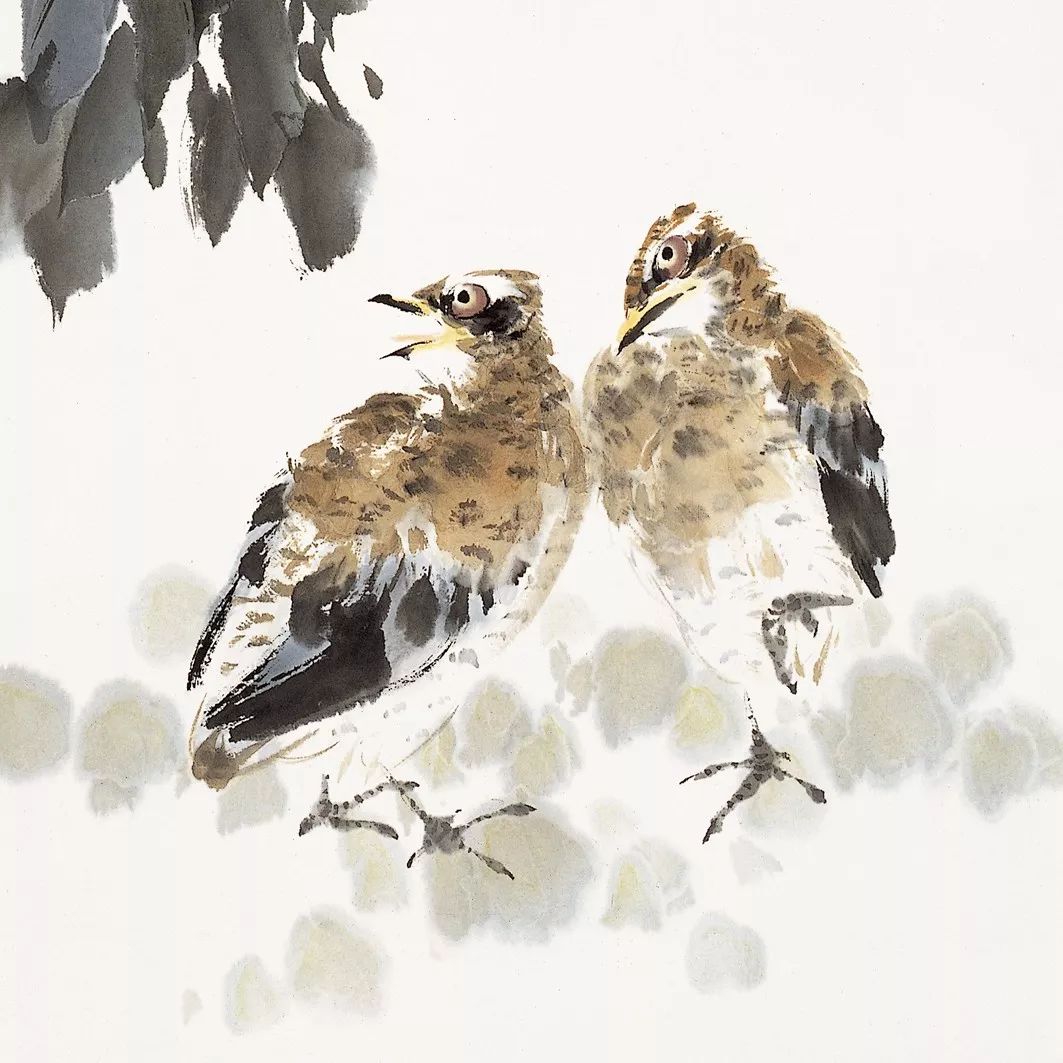 100幅禽鳥(niǎo)百圖，國(guó)畫(huà)鳥(niǎo)類(lèi)美醉了！