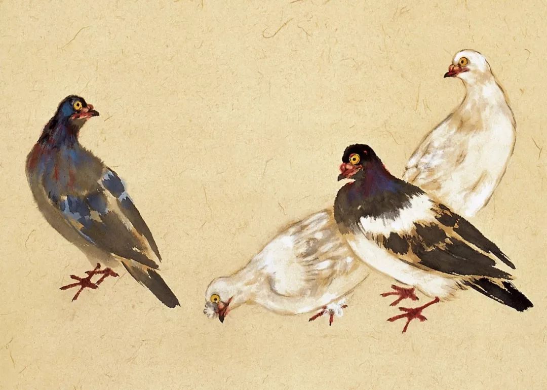 100幅禽鳥(niǎo)百圖，國(guó)畫(huà)鳥(niǎo)類(lèi)美醉了！
