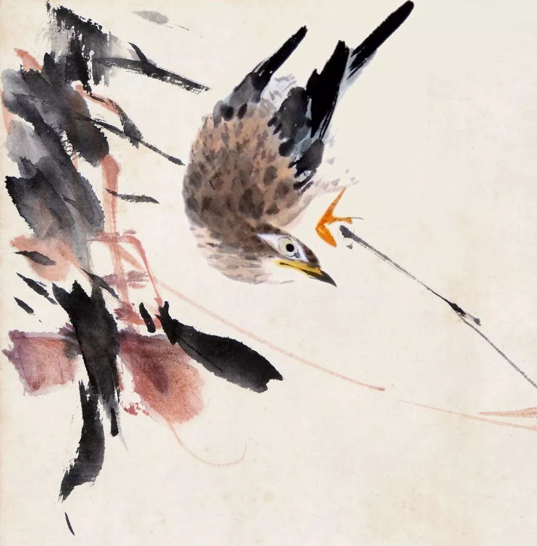 100幅禽鳥(niǎo)百圖，國(guó)畫(huà)鳥(niǎo)類(lèi)美醉了！