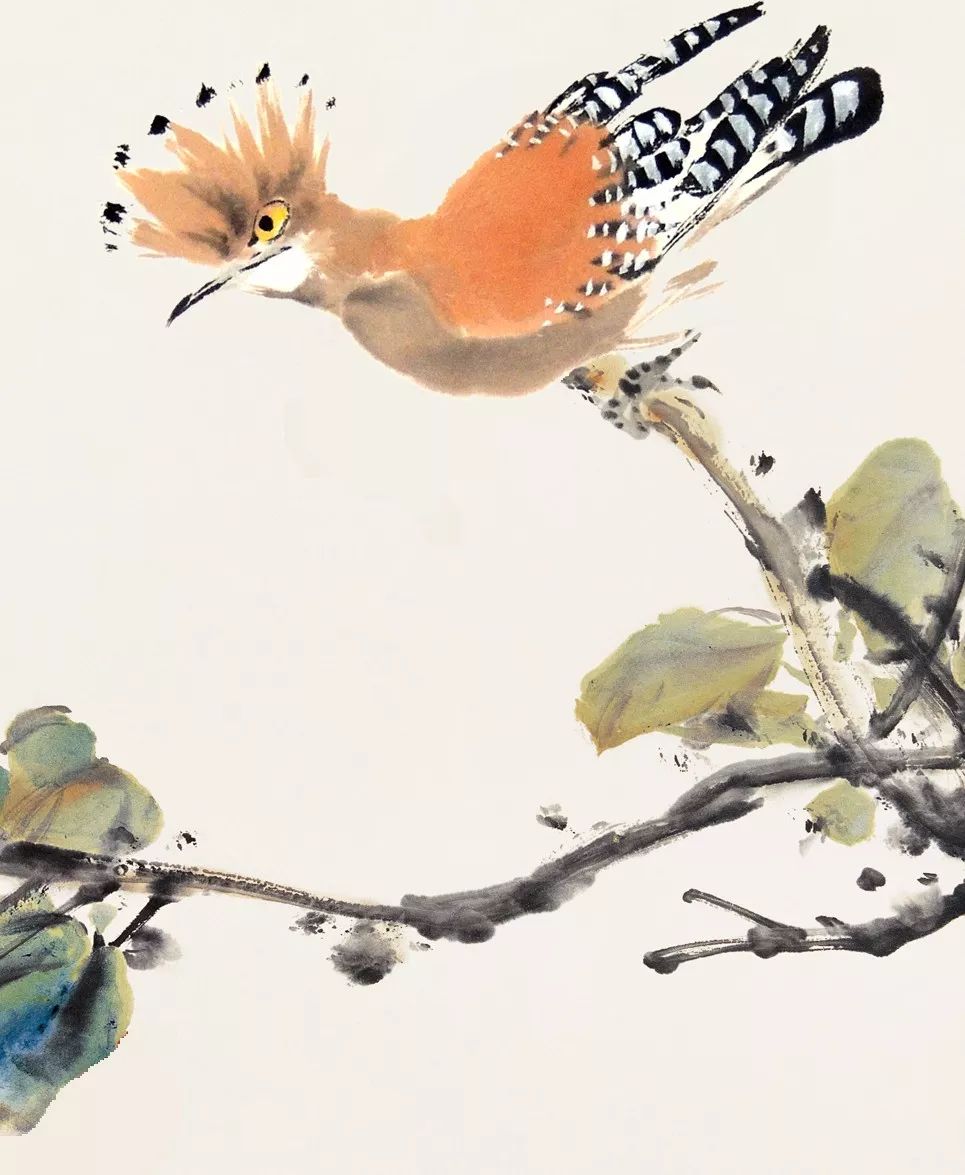 100幅禽鳥(niǎo)百圖，國(guó)畫(huà)鳥(niǎo)類(lèi)美醉了！