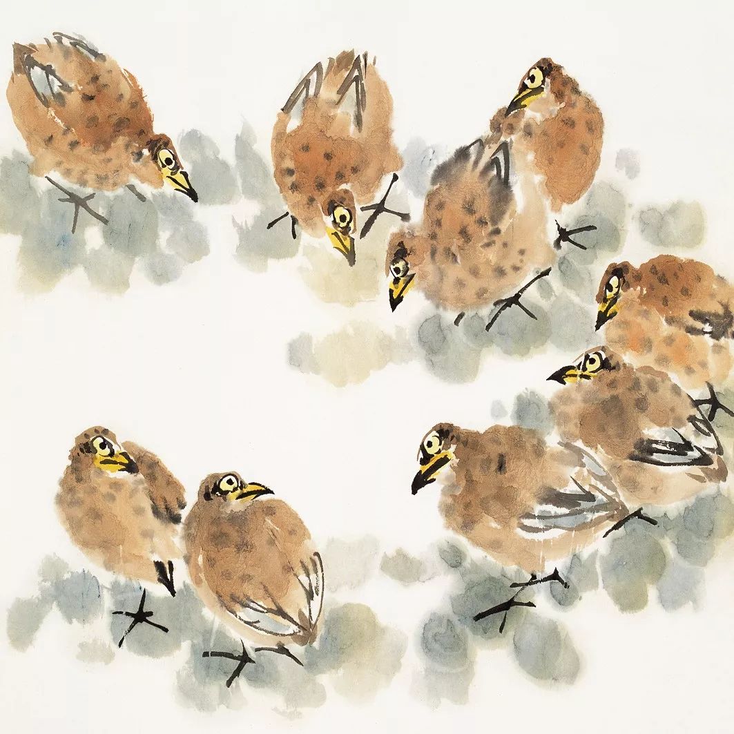 100幅禽鳥(niǎo)百圖，國(guó)畫(huà)鳥(niǎo)類(lèi)美醉了！