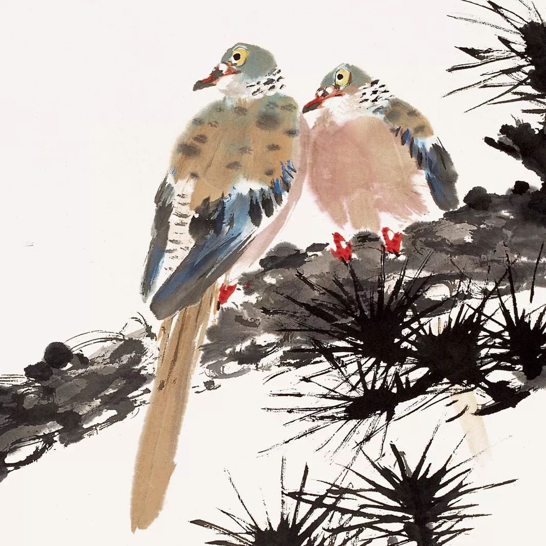 100幅禽鳥(niǎo)百圖，國(guó)畫(huà)鳥(niǎo)類(lèi)美醉了！