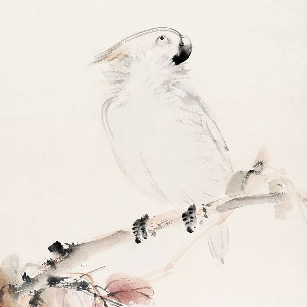 100幅禽鳥(niǎo)百圖，國(guó)畫(huà)鳥(niǎo)類(lèi)美醉了！