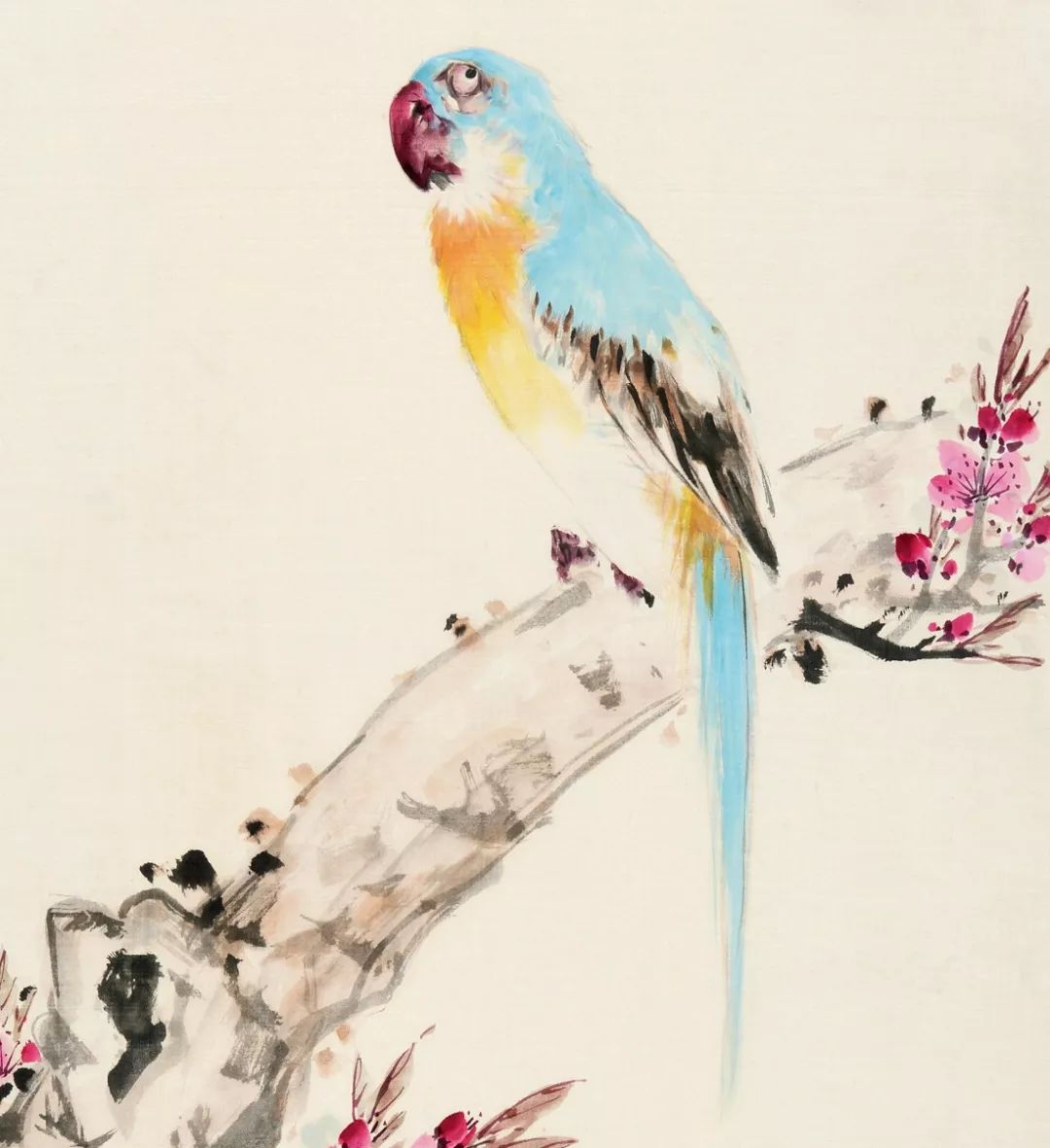 100幅禽鳥(niǎo)百圖，國(guó)畫(huà)鳥(niǎo)類(lèi)美醉了！