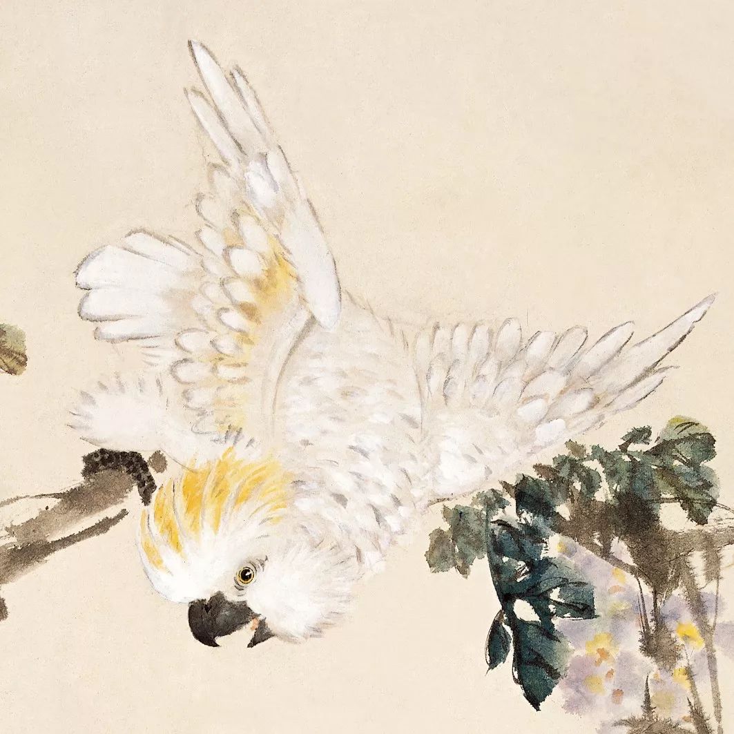 100幅禽鳥(niǎo)百圖，國(guó)畫(huà)鳥(niǎo)類(lèi)美醉了！