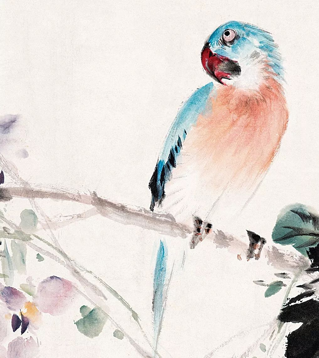 100幅禽鳥(niǎo)百圖，國(guó)畫(huà)鳥(niǎo)類(lèi)美醉了！