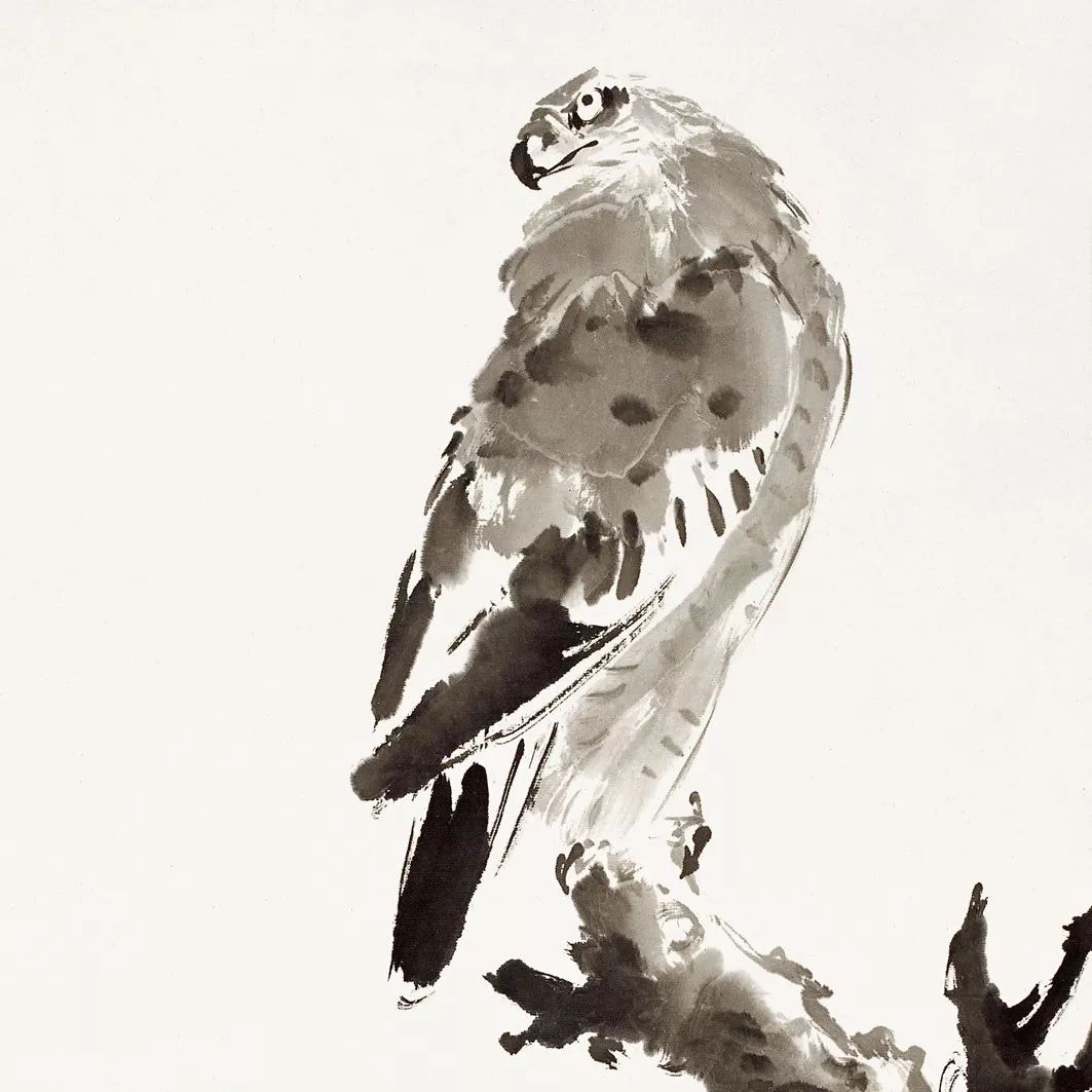 100幅禽鳥(niǎo)百圖，國(guó)畫(huà)鳥(niǎo)類(lèi)美醉了！