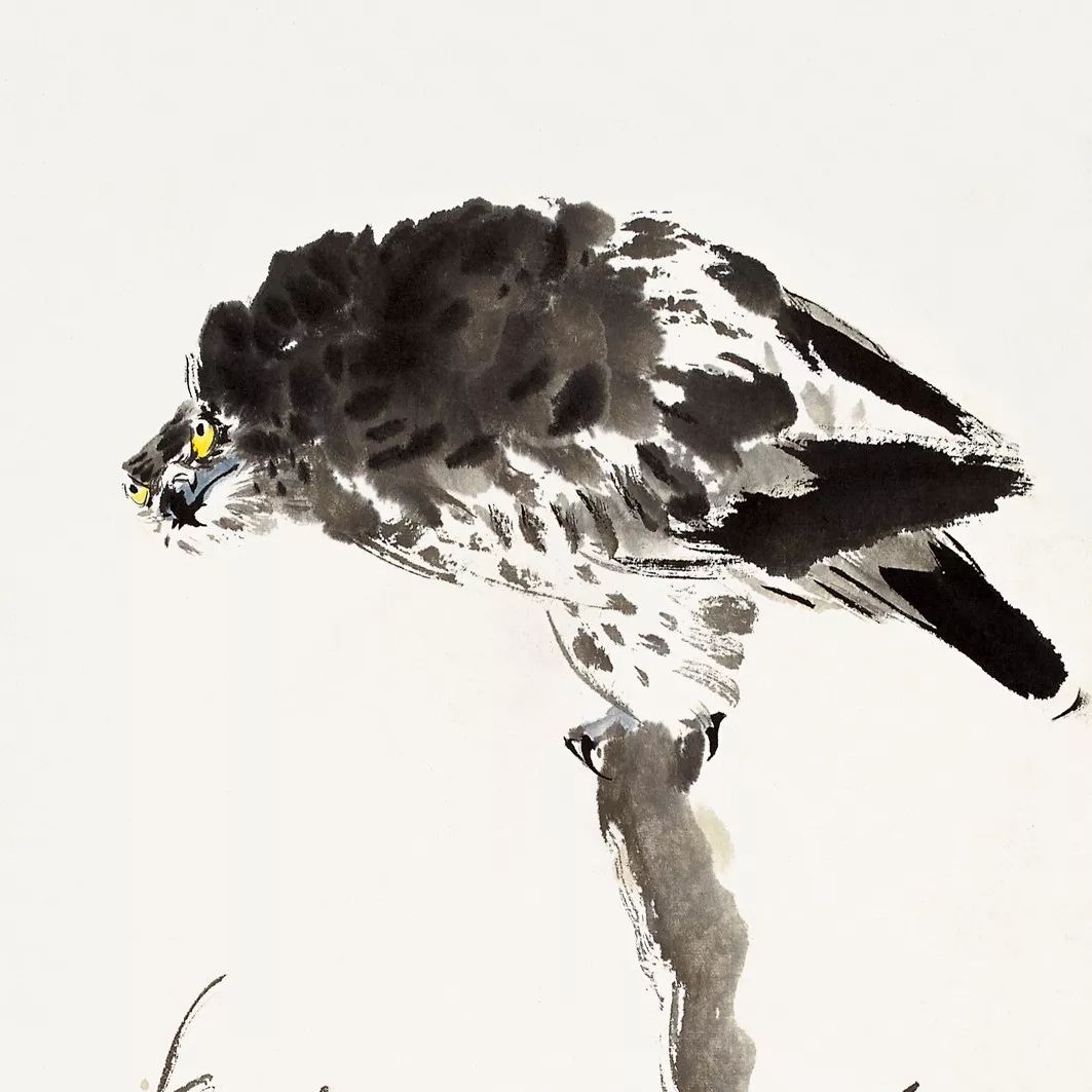 100幅禽鳥(niǎo)百圖，國(guó)畫(huà)鳥(niǎo)類(lèi)美醉了！