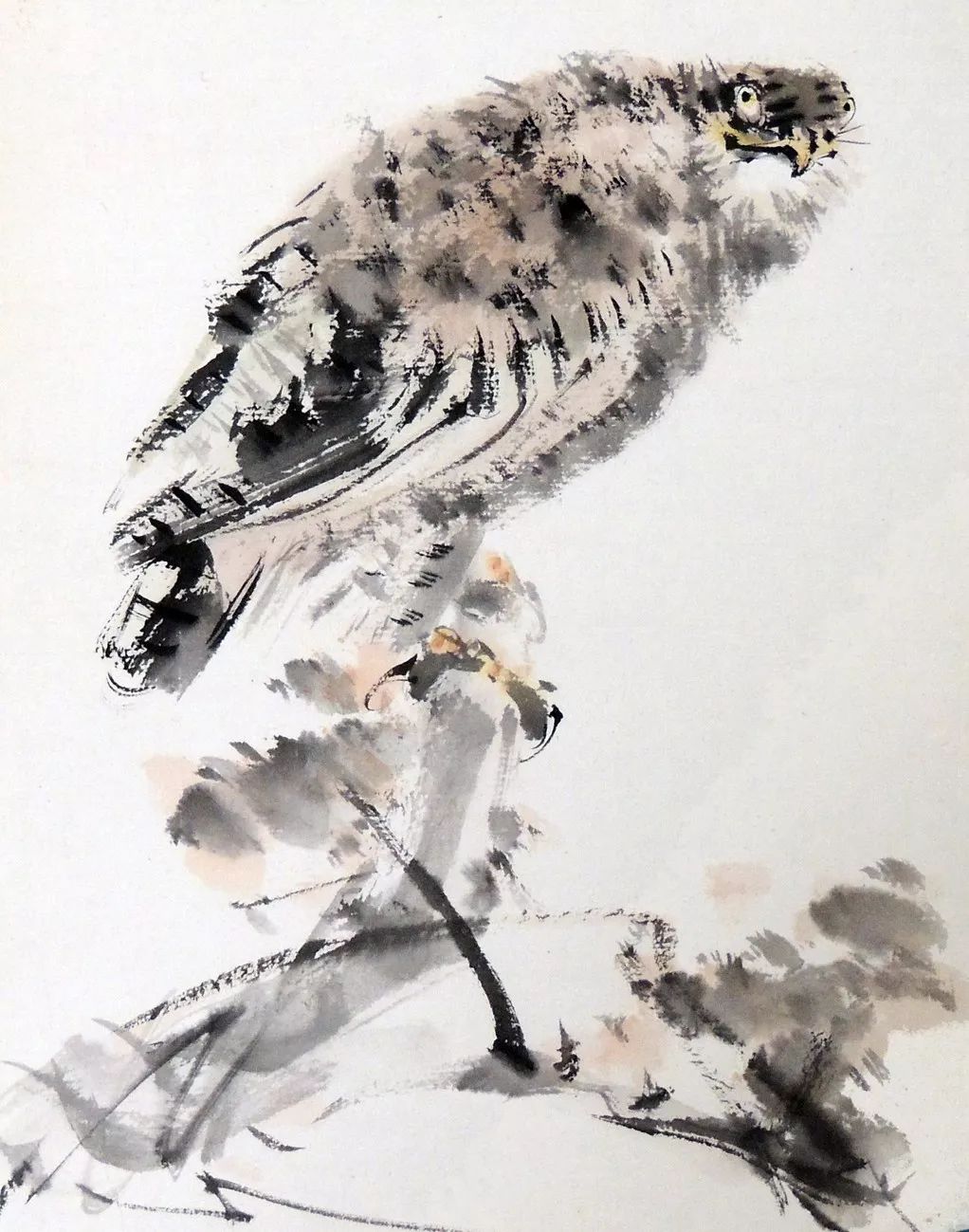 100幅禽鳥(niǎo)百圖，國(guó)畫(huà)鳥(niǎo)類(lèi)美醉了！