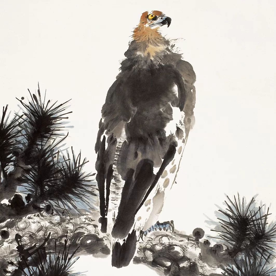 100幅禽鳥(niǎo)百圖，國(guó)畫(huà)鳥(niǎo)類(lèi)美醉了！