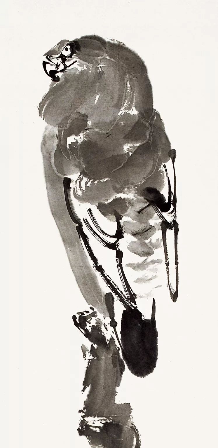 100幅禽鳥(niǎo)百圖，國(guó)畫(huà)鳥(niǎo)類(lèi)美醉了！