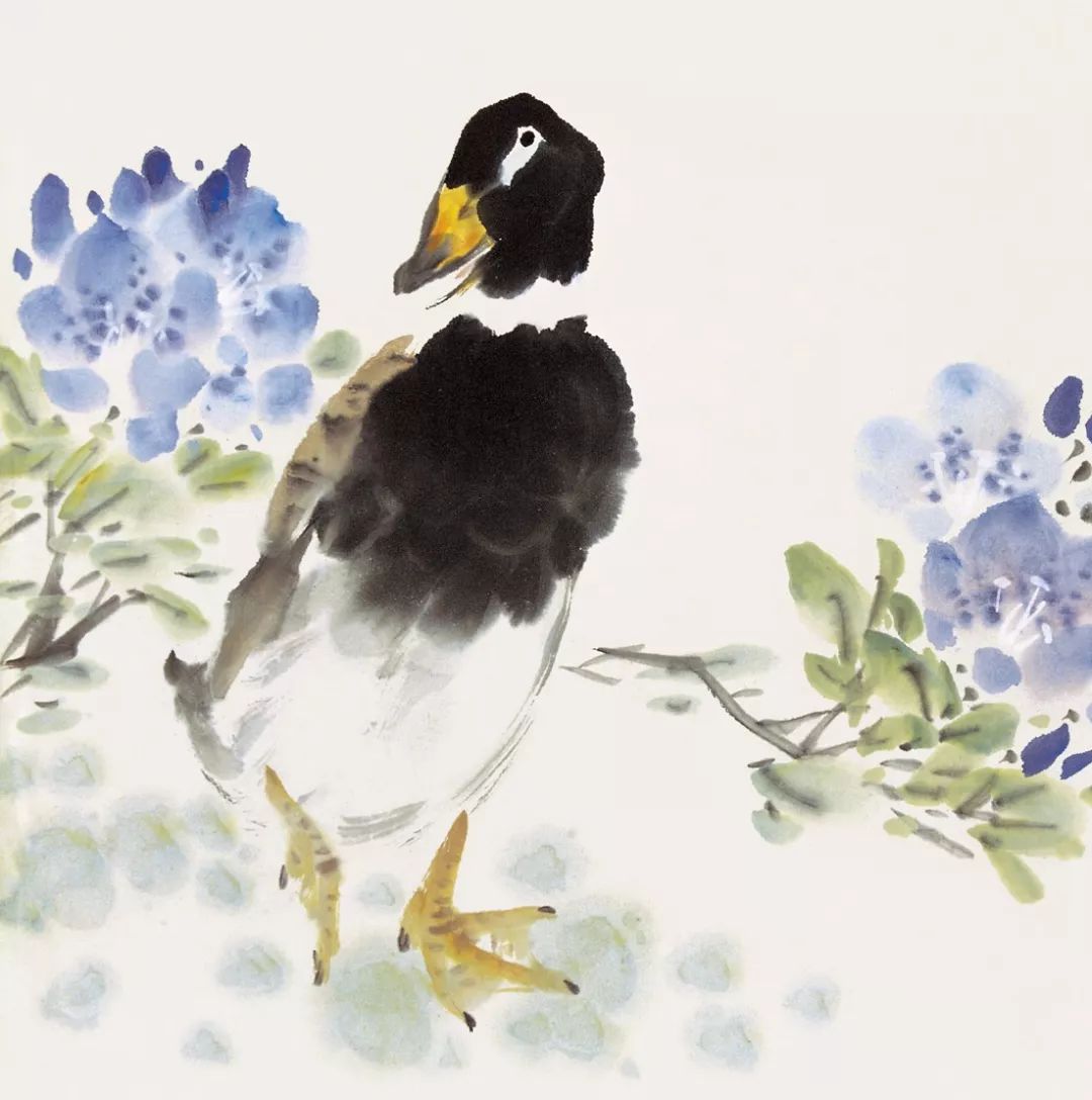 100幅禽鳥(niǎo)百圖，國(guó)畫(huà)鳥(niǎo)類(lèi)美醉了！