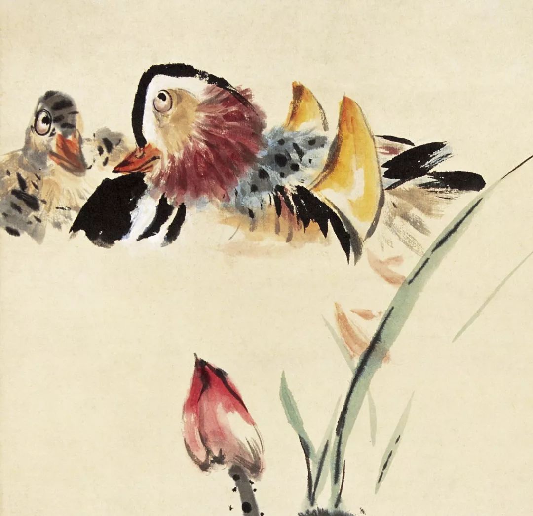 100幅禽鳥(niǎo)百圖，國(guó)畫(huà)鳥(niǎo)類(lèi)美醉了！
