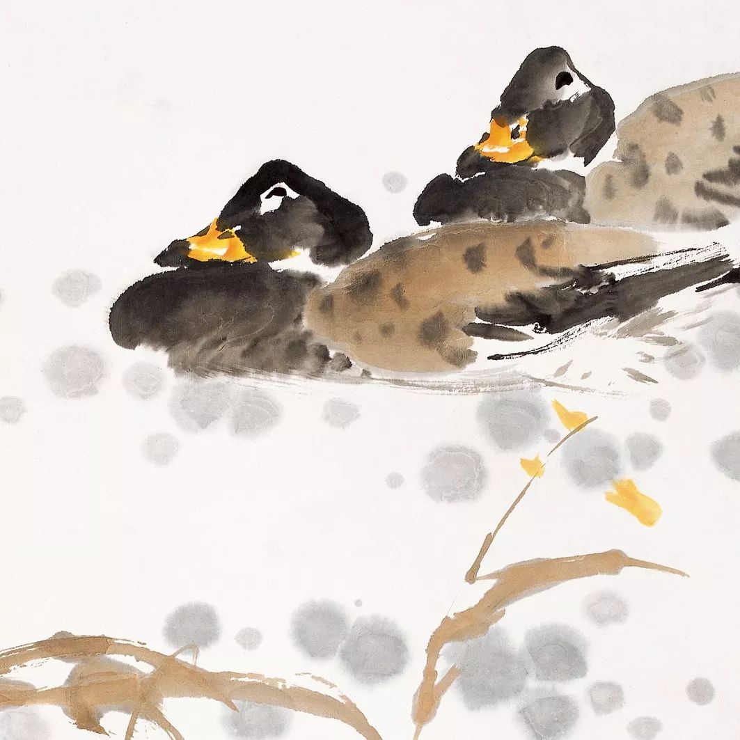 100幅禽鳥(niǎo)百圖，國(guó)畫(huà)鳥(niǎo)類(lèi)美醉了！