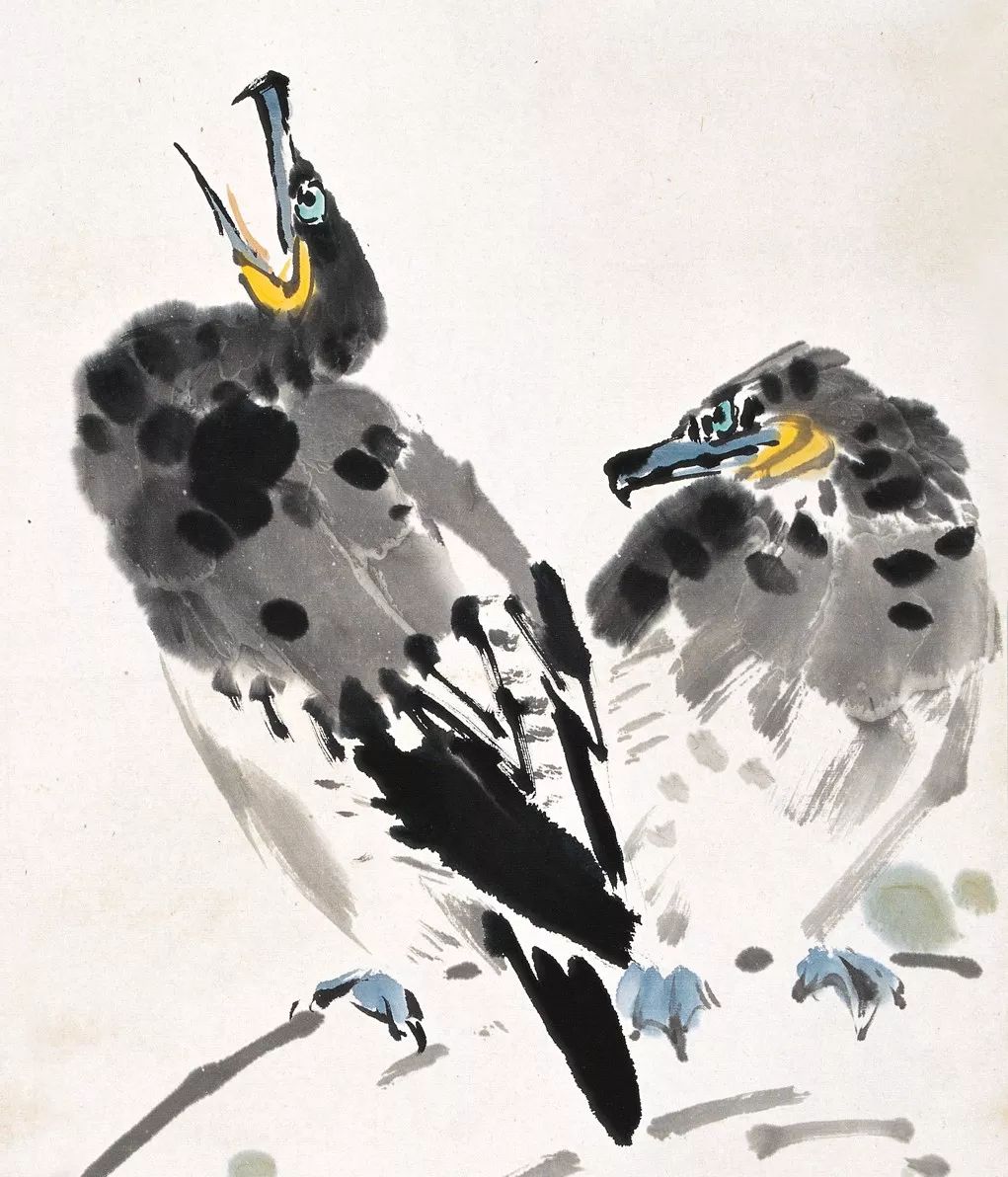 100幅禽鳥(niǎo)百圖，國(guó)畫(huà)鳥(niǎo)類(lèi)美醉了！