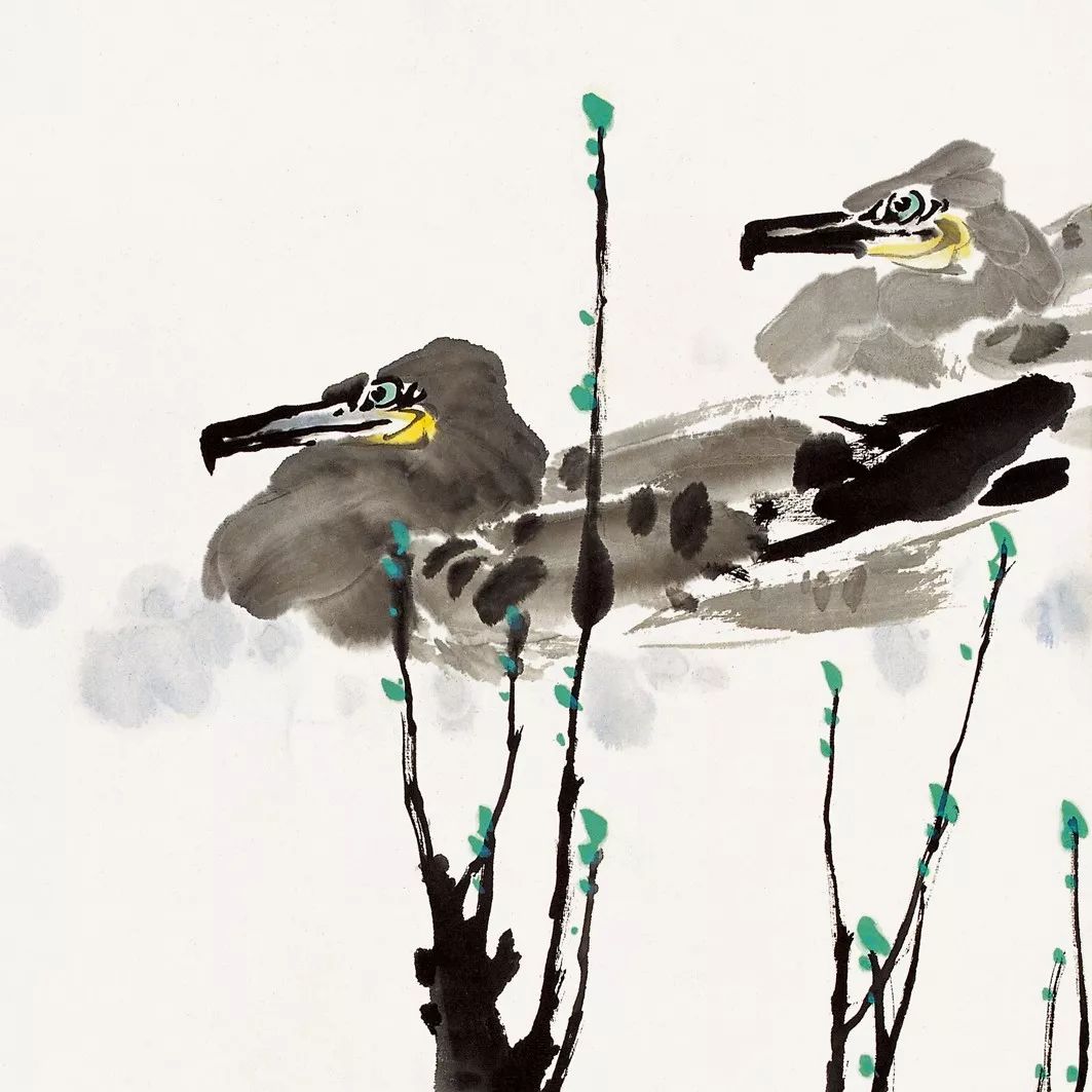 100幅禽鳥(niǎo)百圖，國(guó)畫(huà)鳥(niǎo)類(lèi)美醉了！