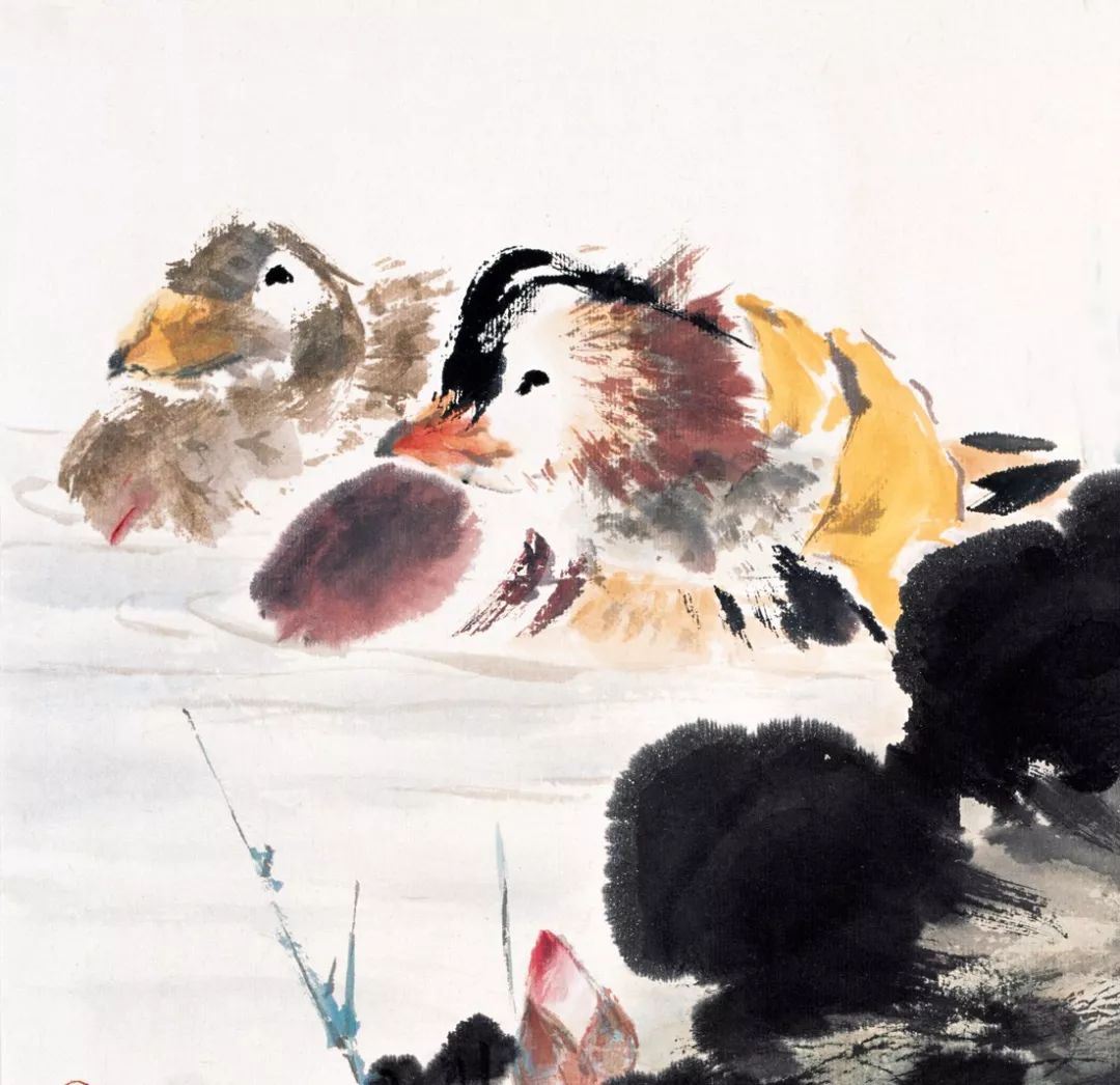 100幅禽鳥(niǎo)百圖，國(guó)畫(huà)鳥(niǎo)類(lèi)美醉了！