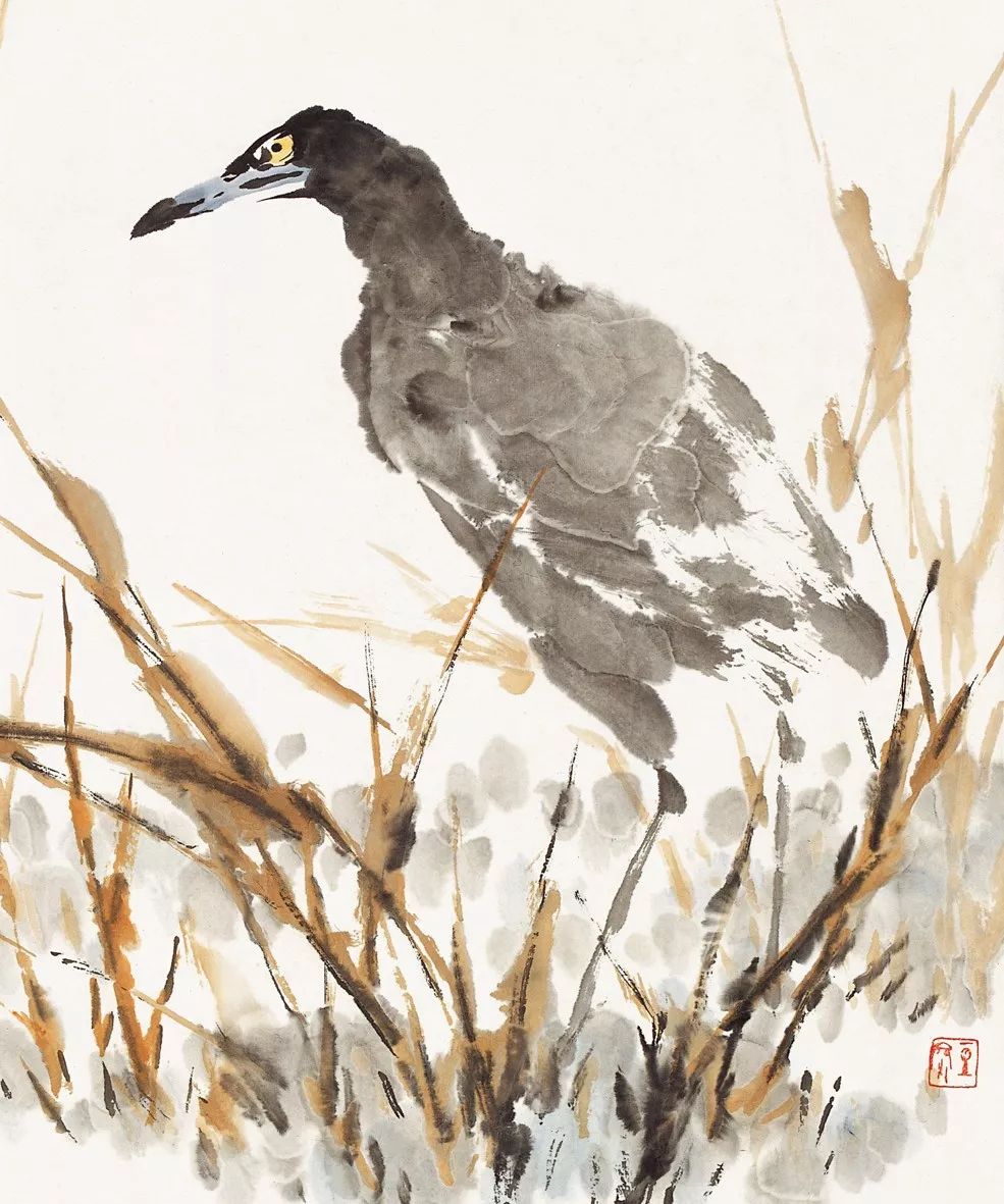 100幅禽鳥(niǎo)百圖，國(guó)畫(huà)鳥(niǎo)類(lèi)美醉了！