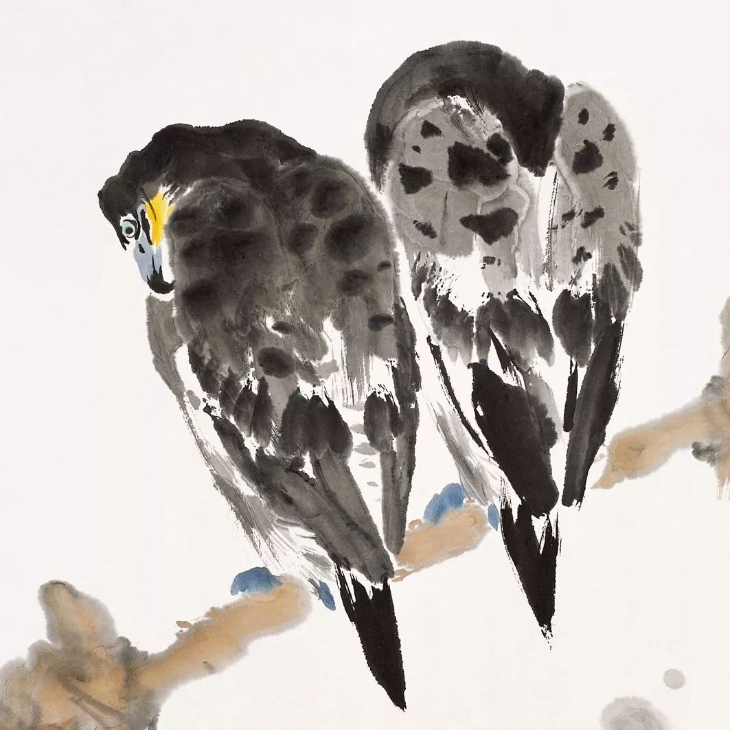 100幅禽鳥(niǎo)百圖，國(guó)畫(huà)鳥(niǎo)類(lèi)美醉了！