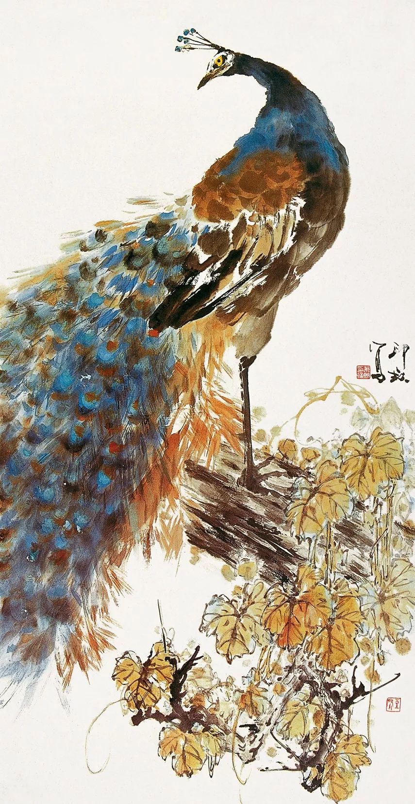 100幅禽鳥(niǎo)百圖，國(guó)畫(huà)鳥(niǎo)類(lèi)美醉了！