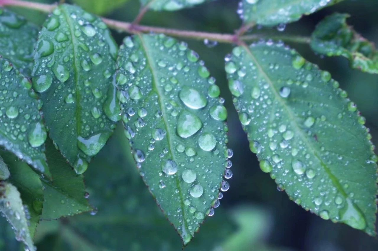 莫干山·柒竹悠南山，安靜的世外桃源
