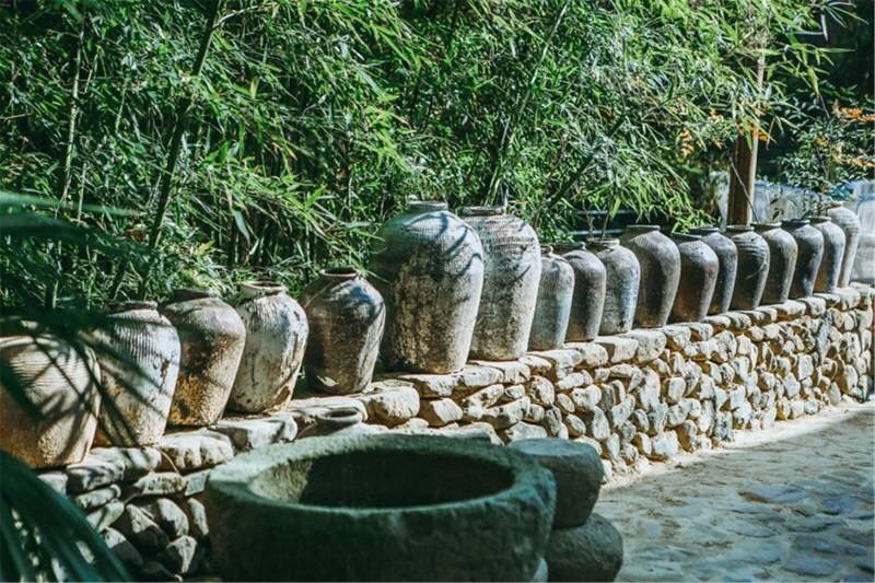 莫干山·柒竹悠南山，安靜的世外桃源