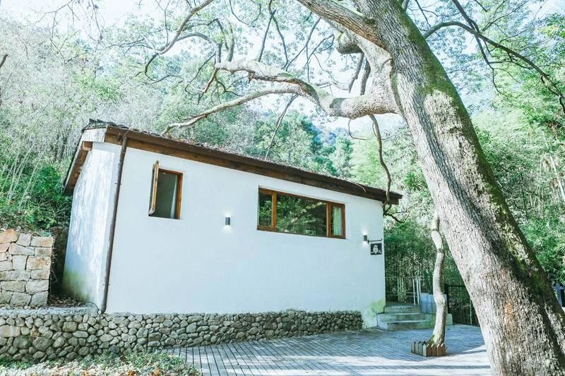 莫干山·柒竹悠南山，安靜的世外桃源