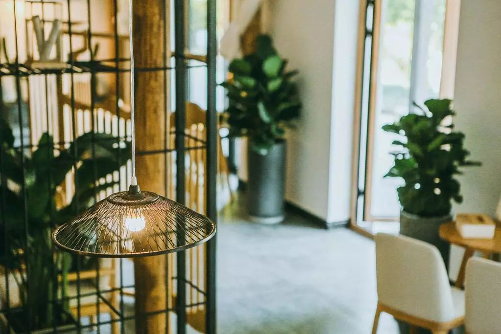 莫干山·柒竹悠南山，安靜的世外桃源