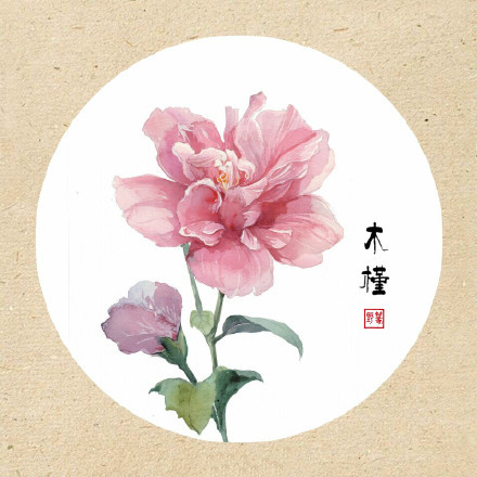 清新古風花卉插畫，可作頭像的花卉插畫圖片