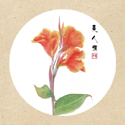 清新古風花卉插畫，可作頭像的花卉插畫圖片