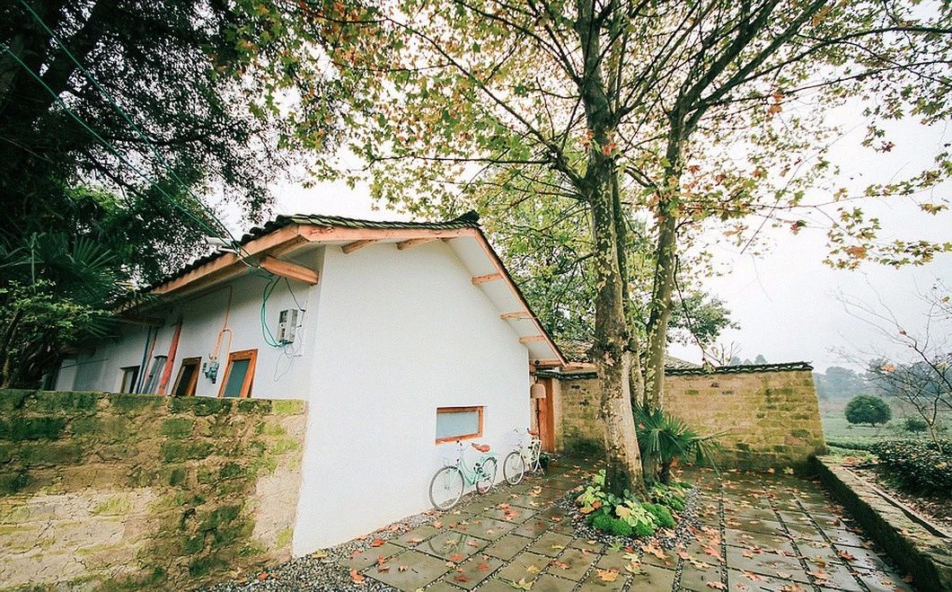 一所茶園里的民宿，過著鄉(xiāng)下悠閑愜意的日子