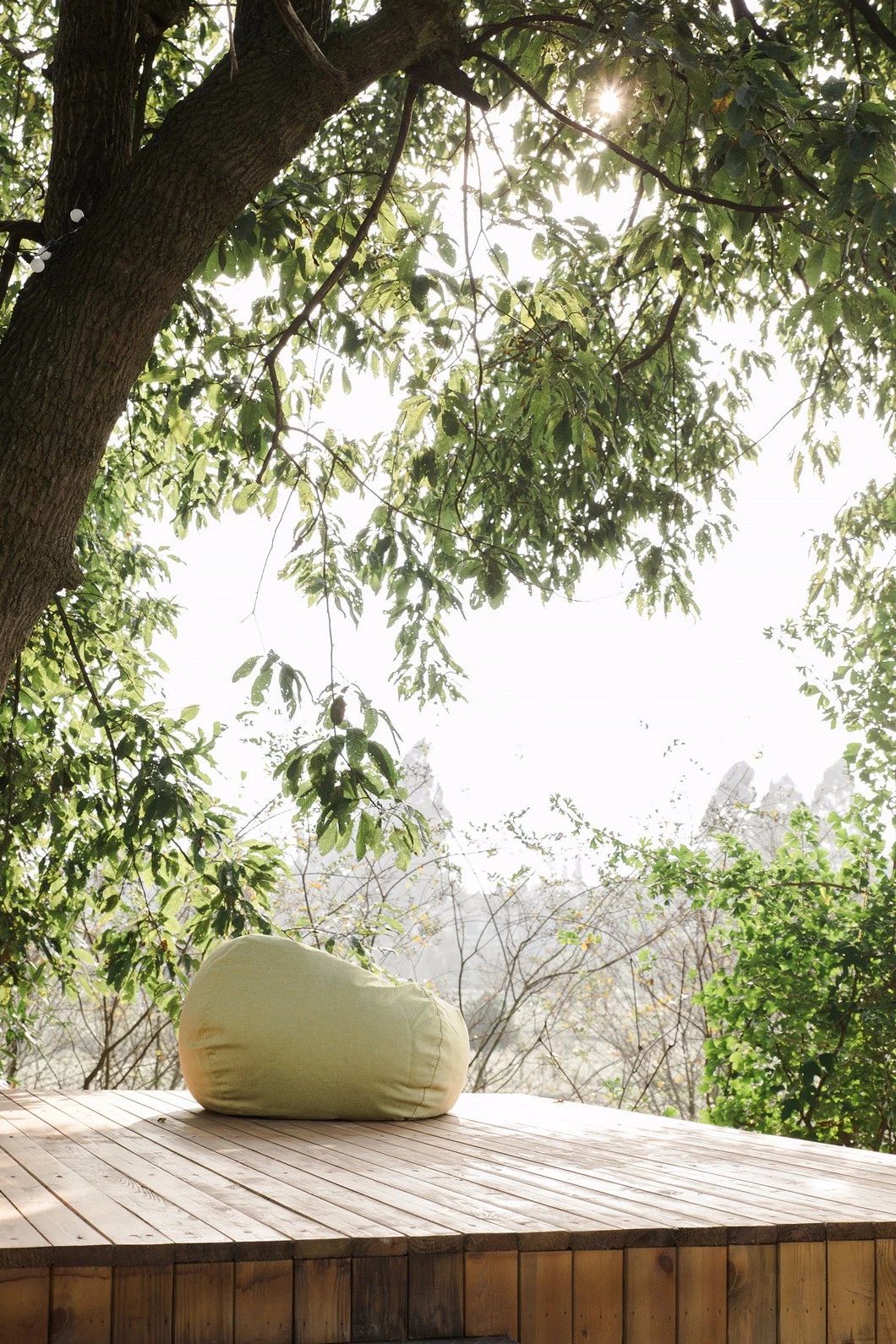 一所茶園里的民宿，過著鄉(xiāng)下悠閑愜意的日子