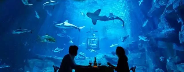 奇屋一夜民宿設(shè)計集合，把民宿開在了長城上