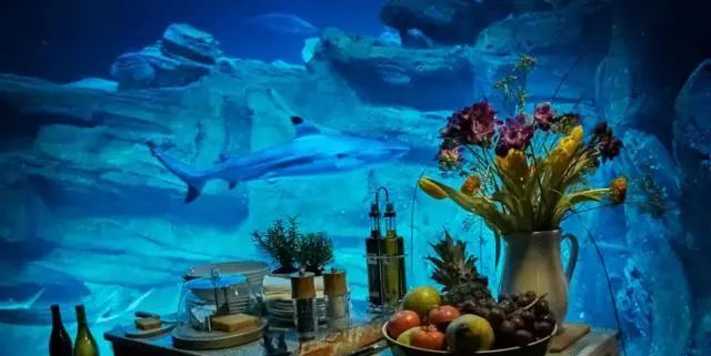 奇屋一夜民宿設(shè)計集合，把民宿開在了長城上