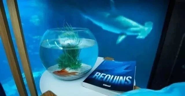 奇屋一夜民宿設(shè)計集合，把民宿開在了長城上