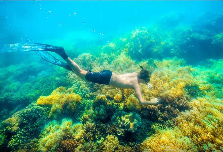 奇屋一夜民宿設(shè)計集合，把民宿開在了長城上