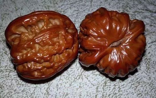 如何辨別真假核桃？五招辨別真假的方法