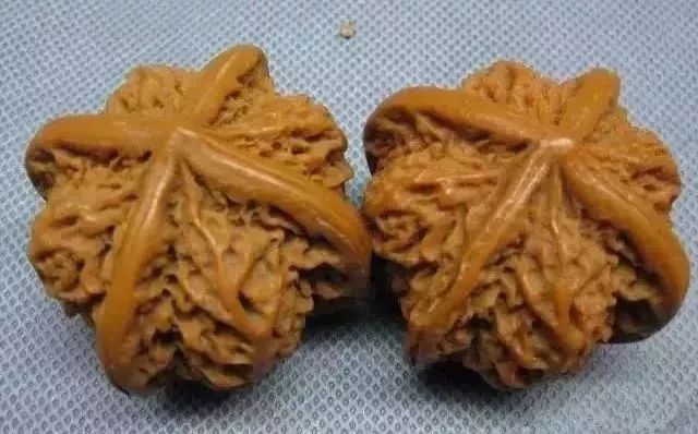 如何辨別真假核桃？五招辨別真假的方法