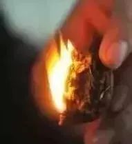 如何辨別真假核桃？五招辨別真假的方法