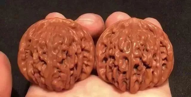 如何辨別真假核桃？五招辨別真假的方法