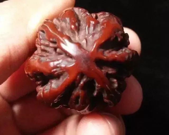 如何辨別真假核桃？五招辨別真假的方法