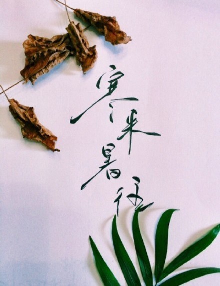 別致新穎的書(shū)法字體，美的很有意境！