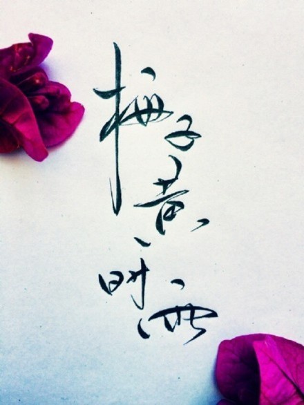 別致新穎的書(shū)法字體，美的很有意境！