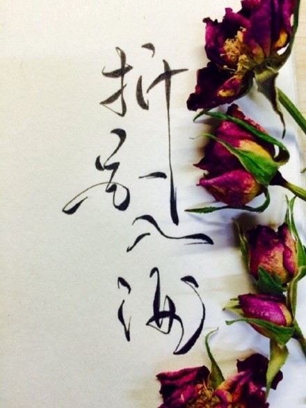 別致新穎的書(shū)法字體，美的很有意境！