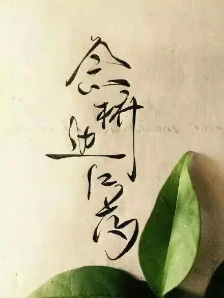 別致新穎的書(shū)法字體，美的很有意境！