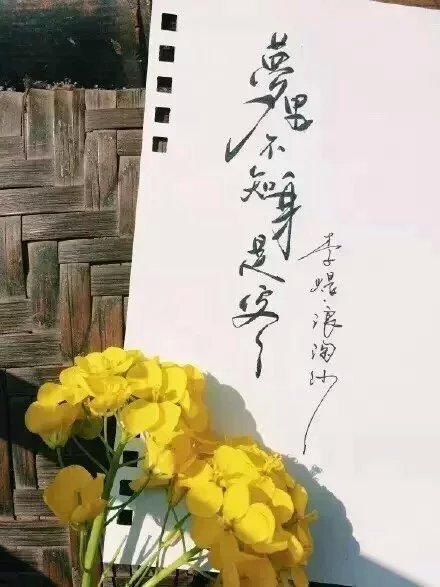 別致新穎的書(shū)法字體，美的很有意境！